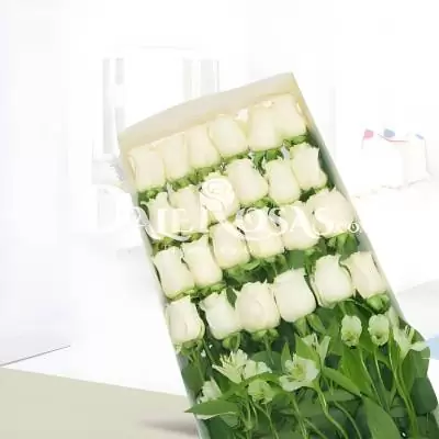 Caja de 24 Rosas Blancas