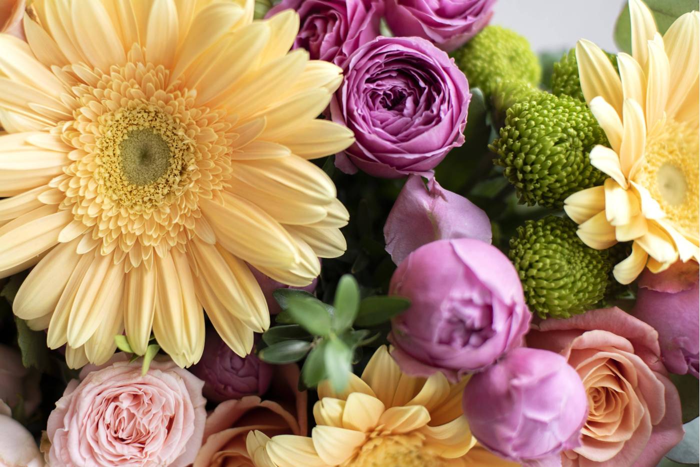 Descubre las maravillas de regalar flores colombianas: ¡DaleRosas te lo pone fácil!