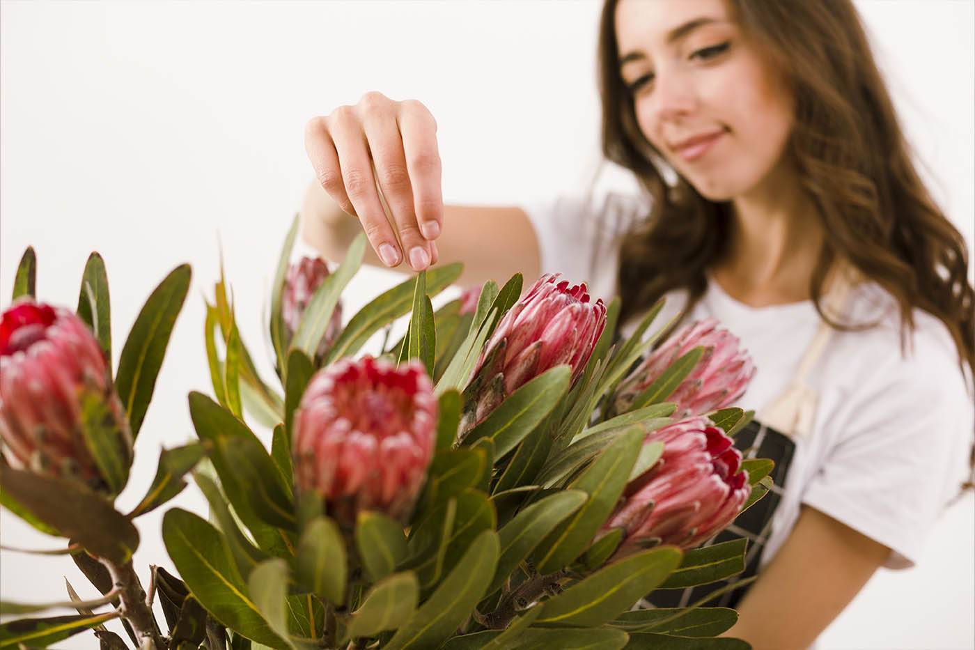 El Arte de Cuidar Tus Flores: Consejos para Prolongar la Vida de Tus Arreglos